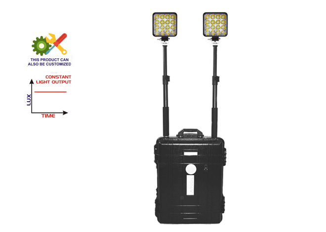 2x24 Watt Remote Area Lighting System with 8 hours Backup